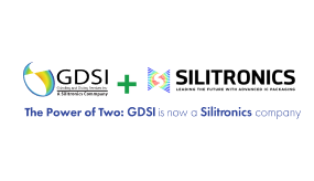 GDSI logo